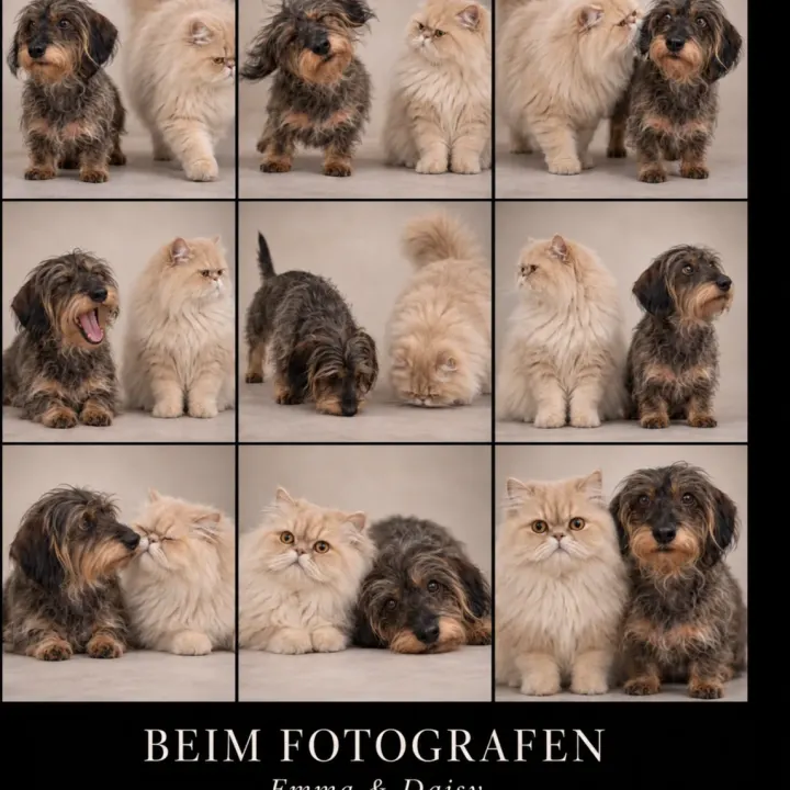Beim Fotografen... wer kennt es nicht ?