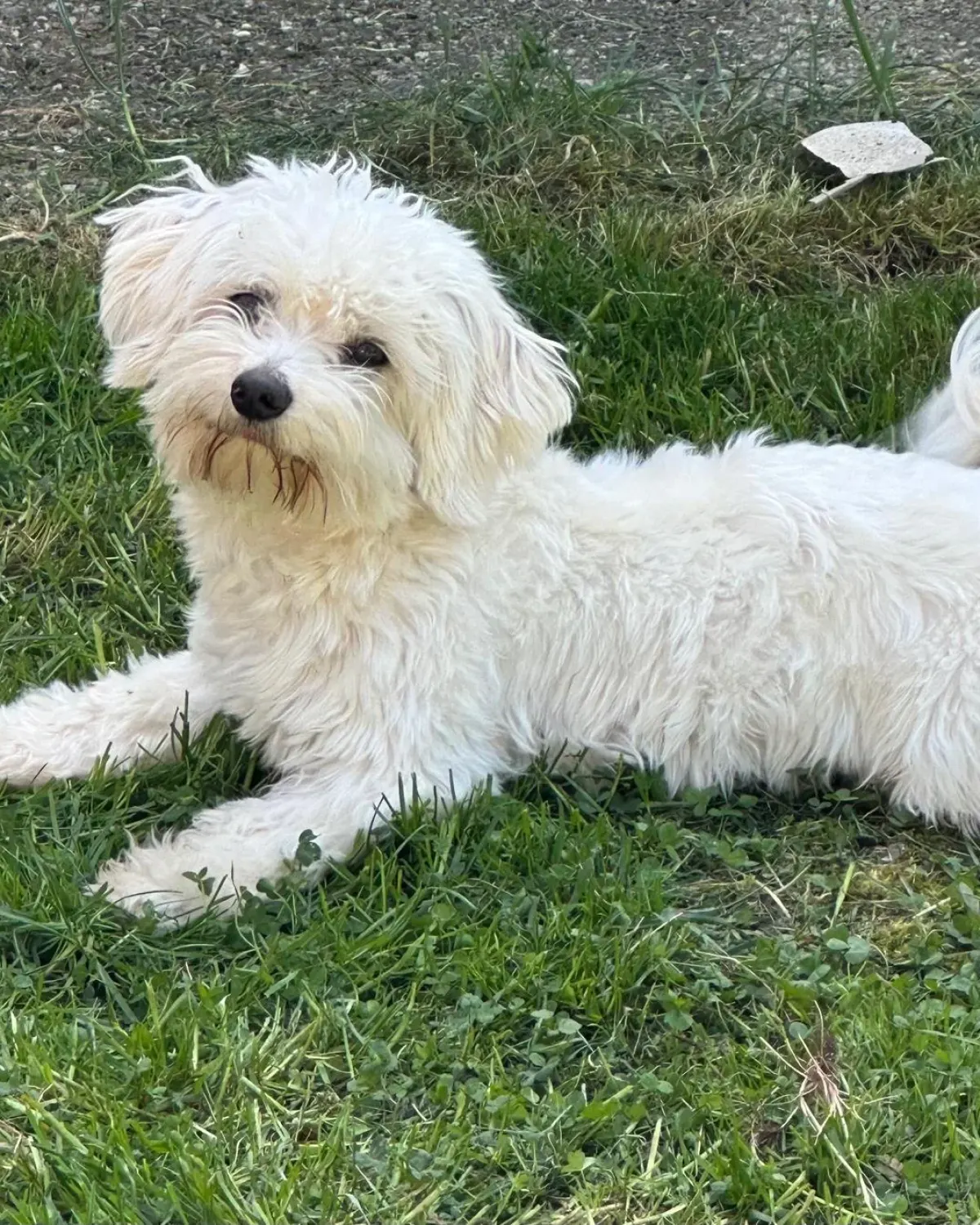 Originalfoto 1
