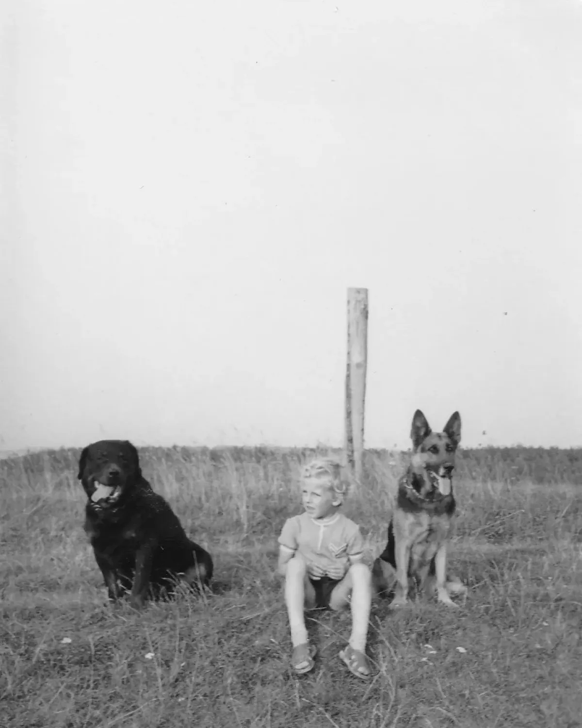 Originalfoto 1