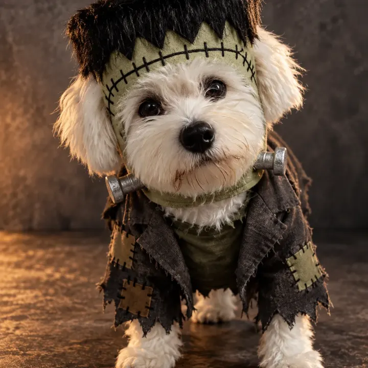Dein Hund als Frankenstein-Monster zu Halloween