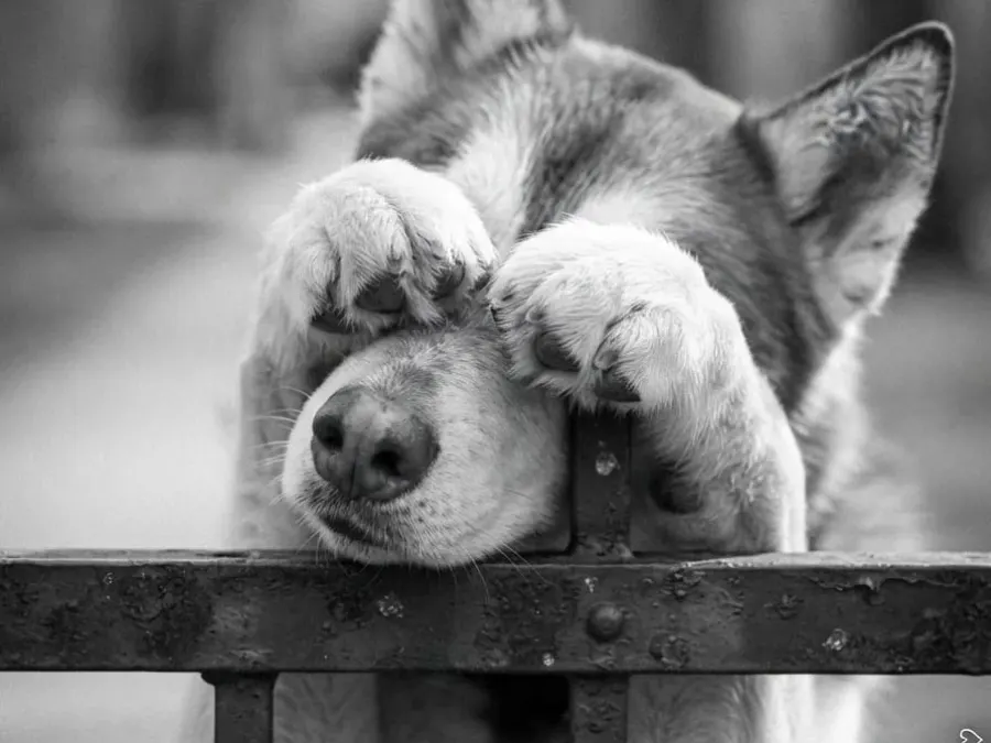 1,2,3,4 Eckstein alles muss versteckt sein...