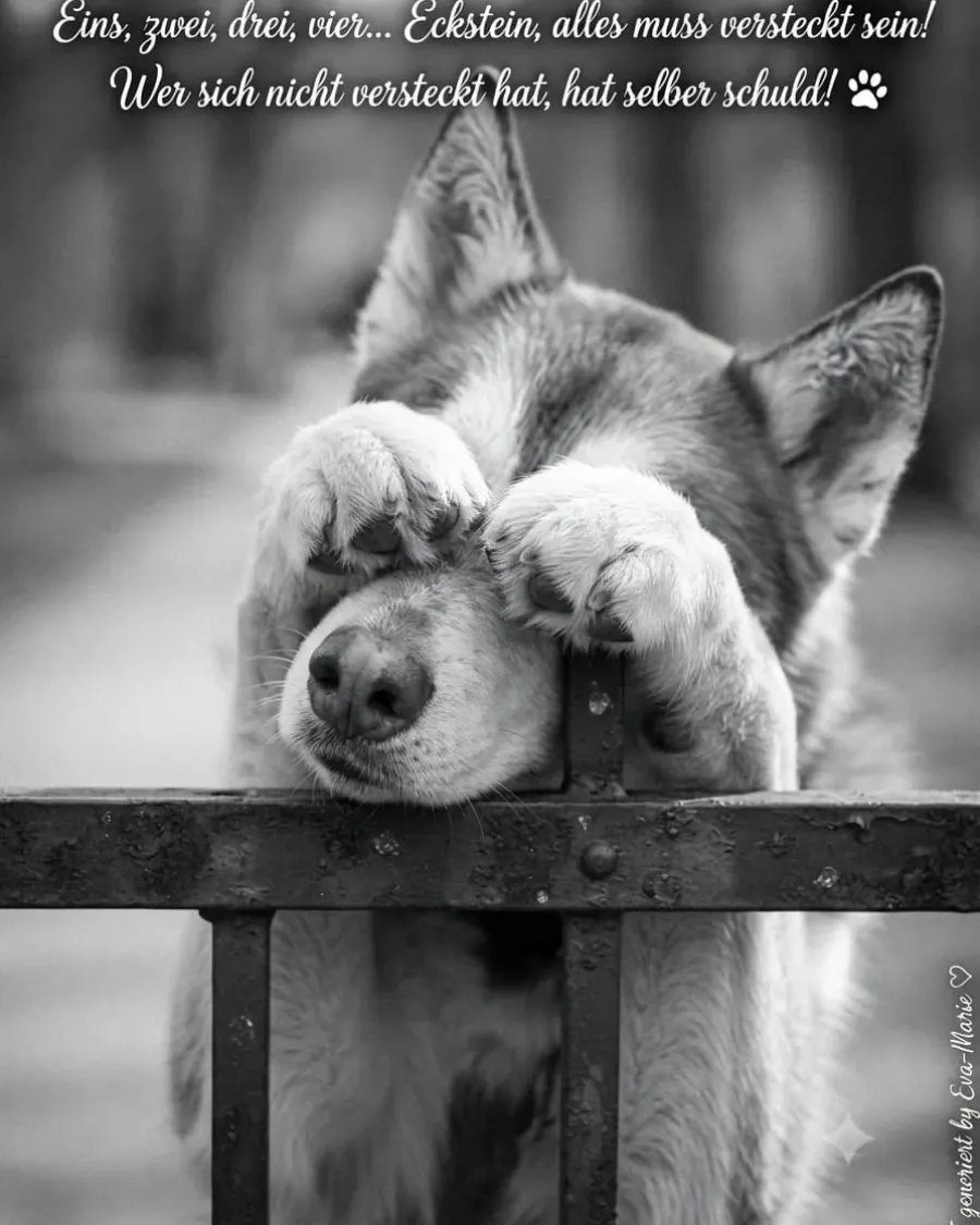 1,2,3,4 Eckstein alles muss versteckt sein...