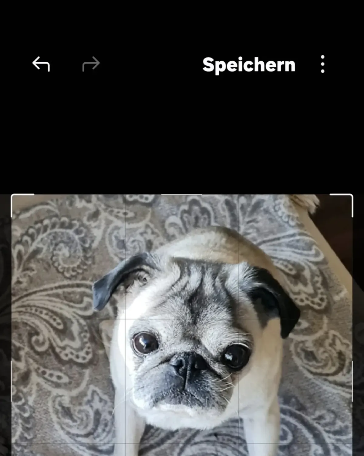Originalfoto 1